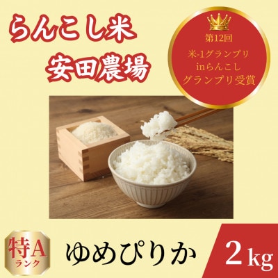 令和7年産らんこし米 特別栽培米 安田農場 ゆめぴりか 精米2kg