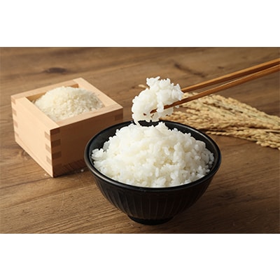 【毎月定期便】らんこし米 ゆめぴりか5kg全12回