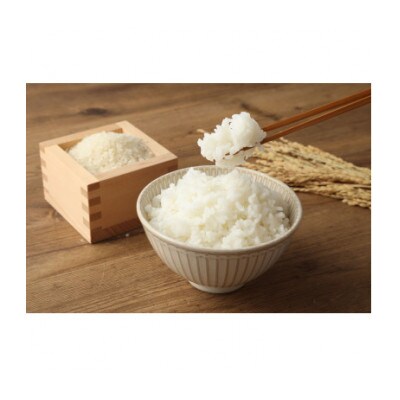 【毎月定期便】らんこし米　ゆめぴりか(精米)　2kg　全9回