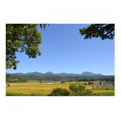 【毎月定期便】らんこし米　ななつぼし(精米)5kg　全4回