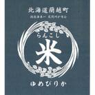 【毎月定期便】らんこし米　ゆめぴりか(精米)10kg　全10回