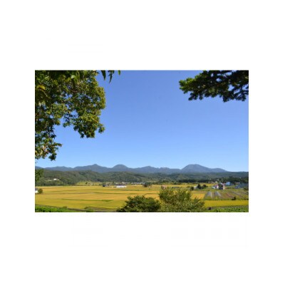 【毎月定期便】らんこし米　ななつぼし(精米)10kg　全7回