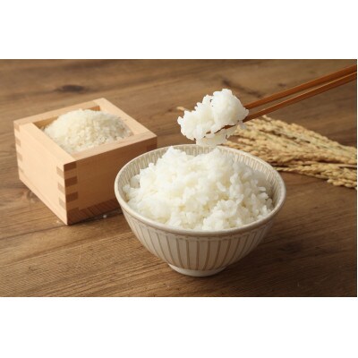 【毎月定期便】らんこし米 食べくらべセット(ななつぼし・ゆめぴりか) 各5kg 精米全12回