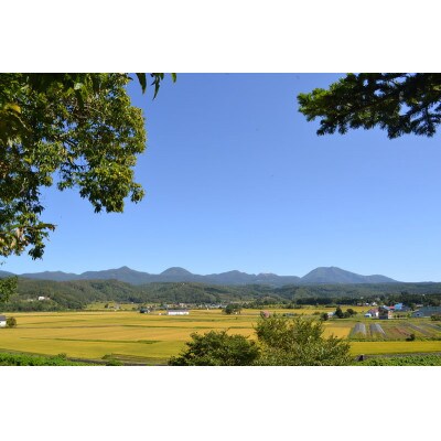 【毎月定期便】らんこし米 食べくらべセット(ななつぼし・ゆめぴりか) 各5kg 精米全12回