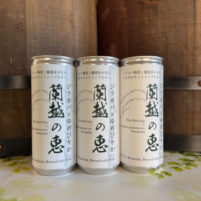 蘭越の恵　シラカバ樹液蘭越米のクラフトビール　3本セット