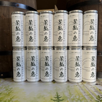 蘭越の恵　シラカバ樹液蘭越米のクラフトビール　24本セット