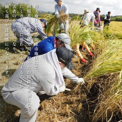剣菱 純米酒 なんでんの 720ml 〔加東市特A地区産山田錦使用〕