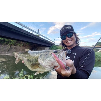 アベンタクローラーダイバゼル(鯉のぼり　真鯉)