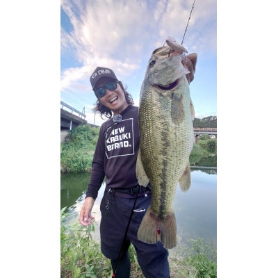 アベンタクローラーダイバゼル(鯉のぼり　真鯉)2個セット