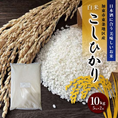 訳あり 無地袋梱包 《令和7年産》日本酒に合うコシヒカリ　白米10kg(5kg×2)