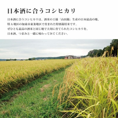 訳あり 無地袋梱包 《令和7年産》日本酒に合うコシヒカリ　白米10kg(5kg×2)