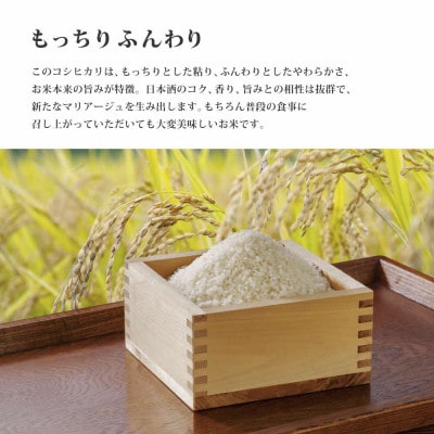 訳あり 無地袋梱包 《令和7年産》日本酒に合うコシヒカリ　白米10kg(5kg×2)