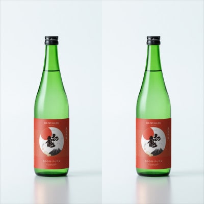 初亀　純米吟醸　からからべっぴん　720ml×2本