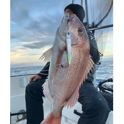 釣り針 ステキ針 ライトジギングフック 輝 8袋セット(サイズ指定不可)