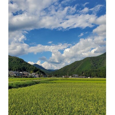 奥播磨　生・火入　飲み比べセット　各720ml　化粧箱入り