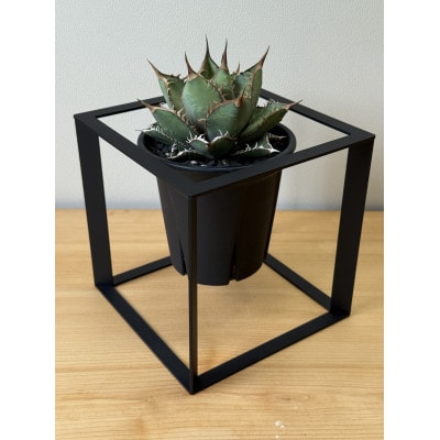 プランツディスタンス 植物用スタンド