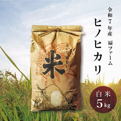 令和7年産・扇ファームのお米【ヒノヒカリ】白米　5kg