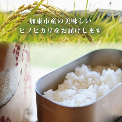 令和7年産・扇ファームのお米【ヒノヒカリ】白米　5kg