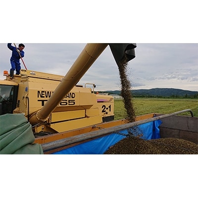 【年越しそば】令和2年産新そば粉を使った乾麺“幌加内北村のそば”8束・そばつゆ付