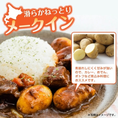 北海道産 訳あり じゃがいも メークイン M～2L 約10kg