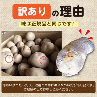 北海道産 訳あり じゃがいも メークイン M～2L 約10kg