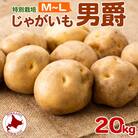 北海道 特別栽培 じゃがいも 男爵 M～L 約20kg