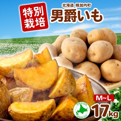 じゃがいも 男爵 M～L 約17kg 旬野菜を北海道から産地直送