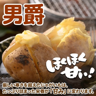 北海道 特別栽培 じゃがいも 男爵 M～L 約20kg