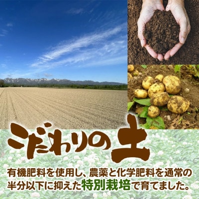北海道 特別栽培 じゃがいも 男爵 M～L 約20kg