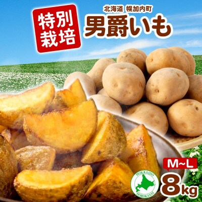 じゃがいも 男爵 M～L 約8kg 旬野菜を北海道から産地直送