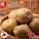 北海道 訳あり 特別栽培 じゃがいも 男爵 2L 約10kg
