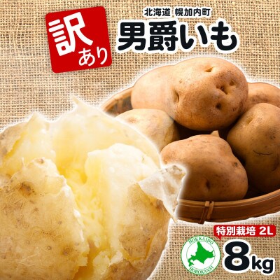 訳あり じゃがいも 男爵 2L 約8kg 旬野菜を北海道から産地直送