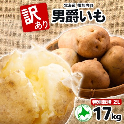 訳あり じゃがいも 男爵 2L 約17kg 旬野菜を北海道から産地直送