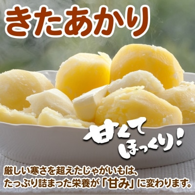 北海道 じゃがいも きたあかり M～2L 約10kg 特別栽培