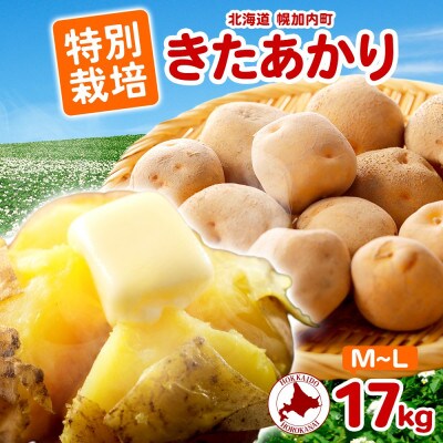 じゃがいも きたあかり M～L 約17kg 旬野菜を北海道から産地直送