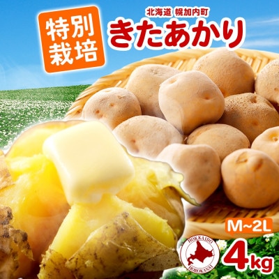 じゃがいも きたあかり M～2L 約4kg 旬野菜を北海道から産地直送