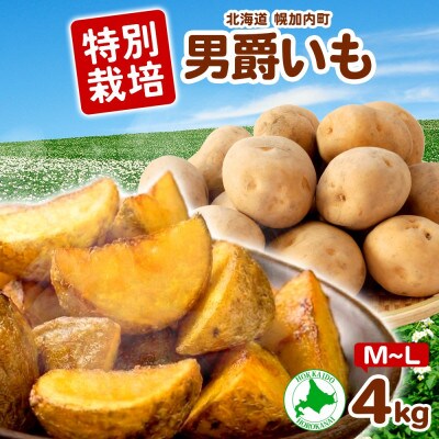 じゃがいも 男爵 M～L 約4kg 旬野菜を北海道から産地直送