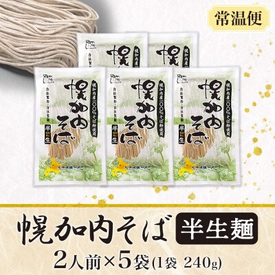 北海道産 半生そば 240g×5袋 計10人前 国産そば粉使用 幌加内町