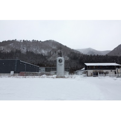 零響 -Absolute0- 2025 (れいきょう あぶそるーとぜろ 2025)