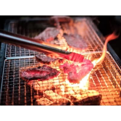 日帰り手ぶらでBBQアラバキ食材セット付体験コース(フリーサイト)