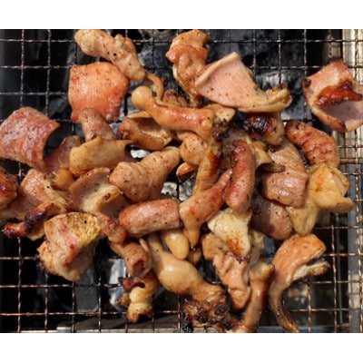 川崎ホルモン 計820g(2～3人前410g×2袋)(濃厚ニンニク生タレ『辛口』付き)