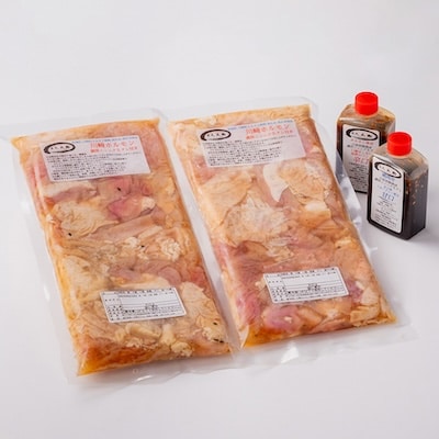 川崎ホルモン 計820g(2～3人前410g×2袋)(濃厚ニンニク生タレ『甘口』『辛口』付き)