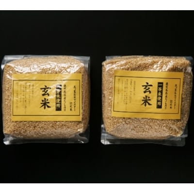 五ツ星お米マイスターのお米10kgと玄米1kg×2袋のセット　ESR-122