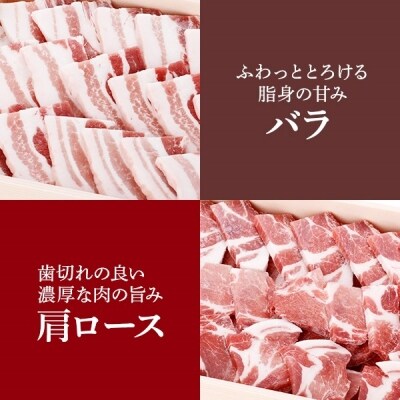 薩摩どん 六白 黒豚 焼肉 計1.8kg(8~10人前) B-302
