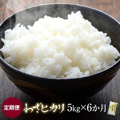 わざヒカリ5kg 定期便(6カ月)D-403