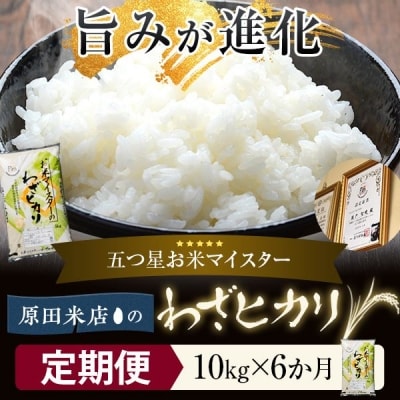 【定期便6か月】わざヒカリ 10kg 米 毎月10日発送　KSS-603
