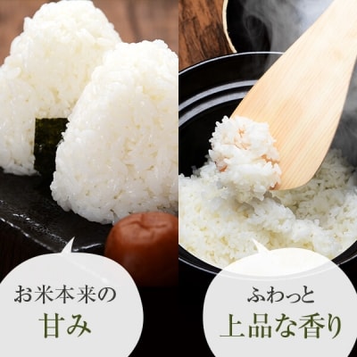 五ツ星お米マイスターが吟味した わざヒカリ 米 20kg セット　HSR-604