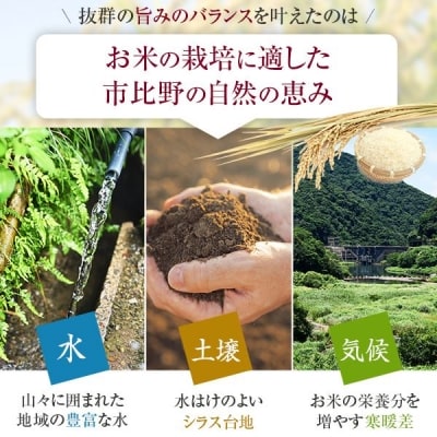 五ツ星お米マイスターが吟味した わざヒカリ 米 20kg セット　HSR-604