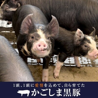 人気の黒豚ロース味噌漬け8枚×4ヶ月お届け【定期便】　GS-005　