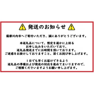 鹿児島県産黒豚ステーキハンバーグ3個入り　ZS-623